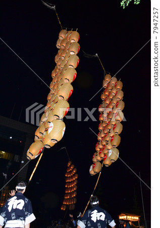 釣魚燈節 7947257