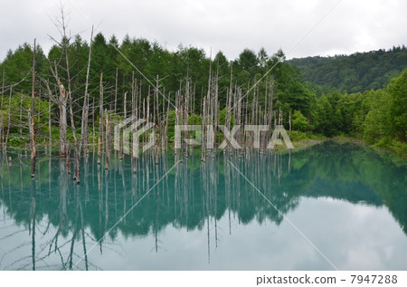 Biei · Blue Pond Biei · Blue Pond 7947288