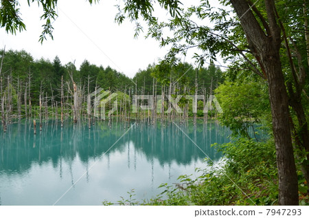 Biei · Blue Pond Biei · Blue Pond 7947293
