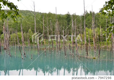 Biei · Blue Pond Biei · Blue Pond 7947298