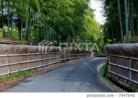Rakuishi Bamboo Park Rakuishi Bamboo Park 7947648