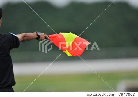 referee 7947808