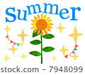 Message card summer 7948099