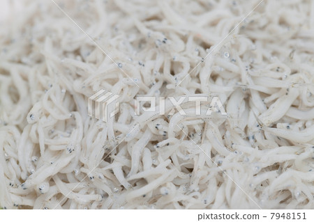 Shirasu dried 7948151