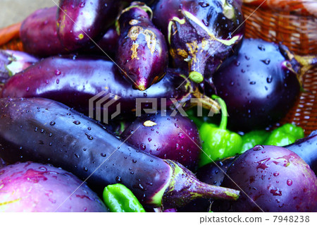 夏季蔬菜 7948238