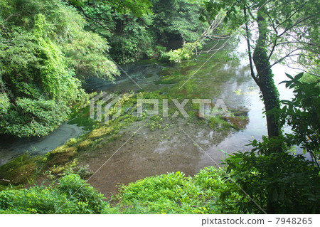 Kamatagawa Spring Park 7948265