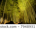 Bamboo trail 7948931