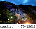 Kyoto Arashiyama Light Up 7948938