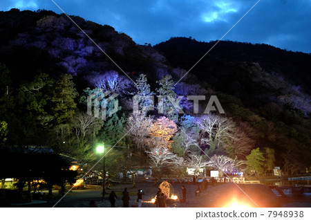 Kyoto Arashiyama Light Up Kyoto Arashiyama Light Up 7948938