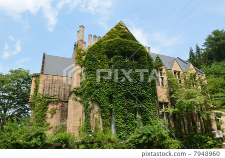 Ivy and old castle 7948960