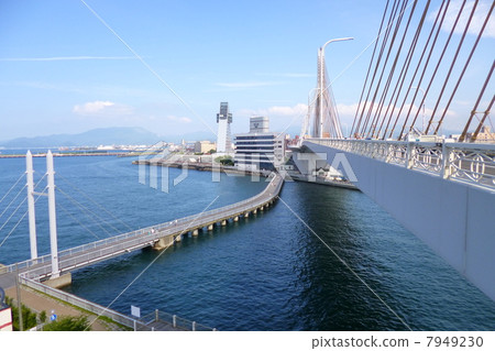 Aomori harbor 7949230