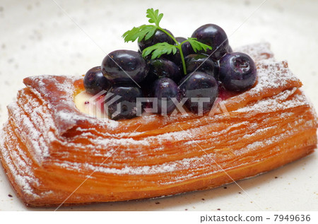 blueberry blueberry 7949636