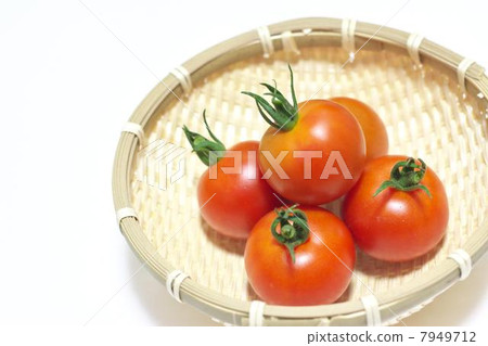Tomato   7949712