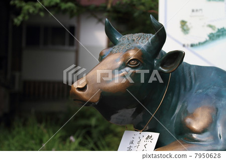 牛肉 牛肉 7950628