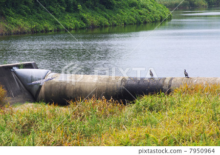 Rubberdam to stop water Rubberdam to stop water 7950964