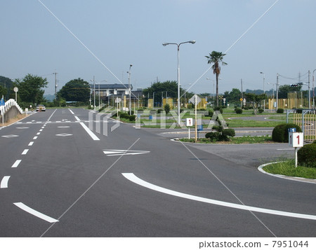 Driving school Driving school 7951044