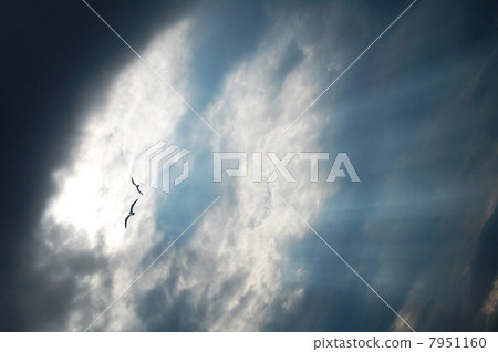 約會 約會 7951160