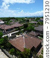 Cityscape of Taketomi island 7951230
