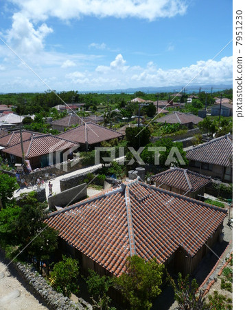 竹富島的城市景觀 竹富島的城市景觀 7951230