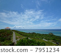 Scenery of Tamagusaki Observatory 7951234