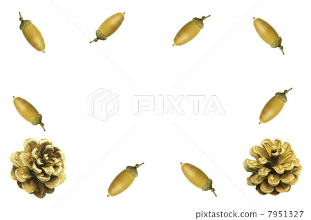 Acorn and pine cones Acorn and pine cones 7951327