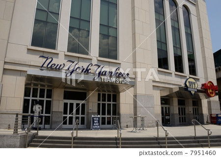 America New York Yankee Stadium America New York Yankee Stadium 7951460