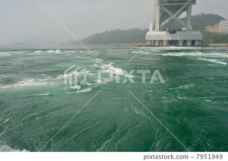 潮汐婆娑 7951949