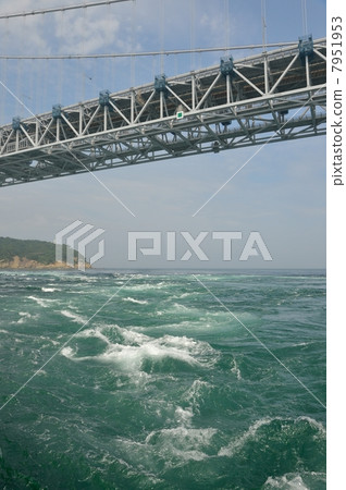 潮汐婆娑 7951953