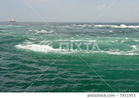 潮汐婆娑 7951955