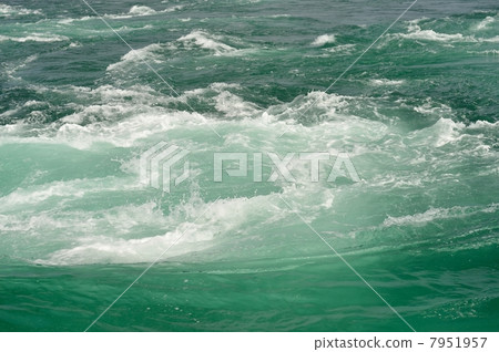 潮汐婆娑 7951957