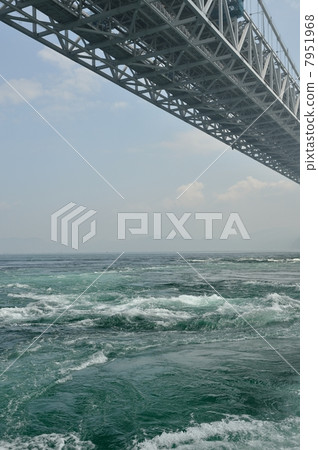 潮汐婆娑 7951968