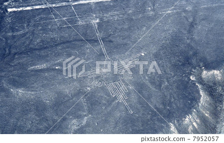 Landscape of Nazca Landscape of Nazca 7952057