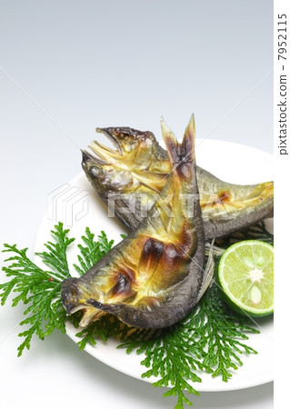 Ayu's overnight dried 7952115