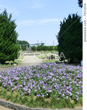 公園 公園 7952838