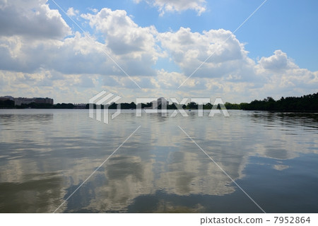 Washington, USA 7952864