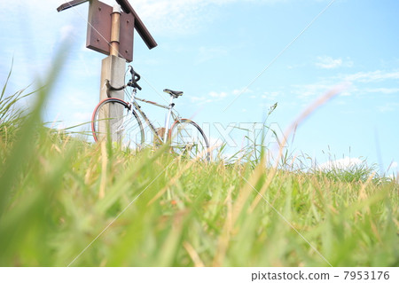 A bicycle A bicycle 7953176