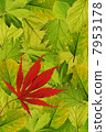 Background of fresh park tree leaves with one red japanese maple 7953178
