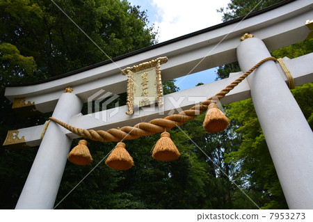 Hodogayama shrine 7953273