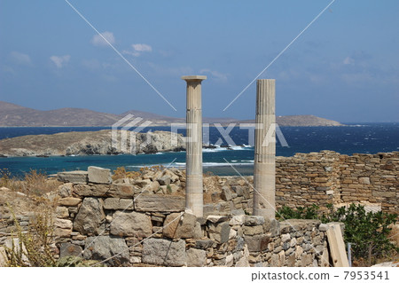 Delos Delos 7953541