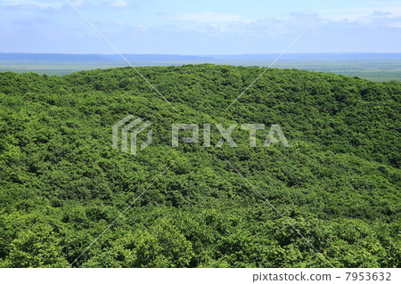 Kushiro Marsh 7953632