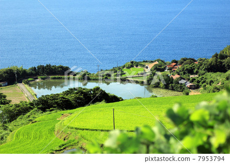 Tohoda場稻米露台 Tohoda場稻米露台 7953794