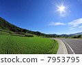 仲夏鄉村公路 7953795