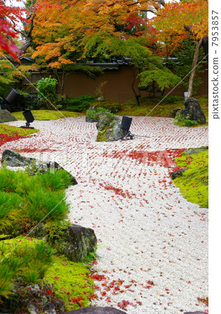 Japanese Garden at Entsuin (Autumn) [Matsushima Town, Miyagi Prefecture] 7953857