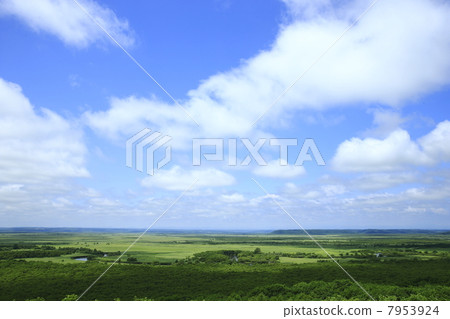 Kushiro Marsh 7953924
