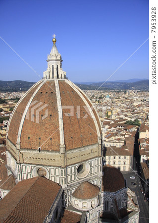 Florence Florence 7953928