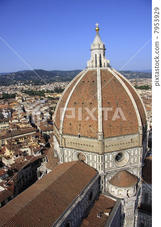Florence Florence 7953929
