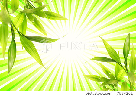 Bamboo plant over abstract green background Bamboo plant over abstract green background 7954261