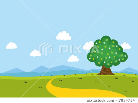 Nature's way Nature's way 7954734