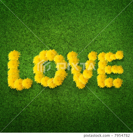 love made from dandelions love made from dandelions 7954782