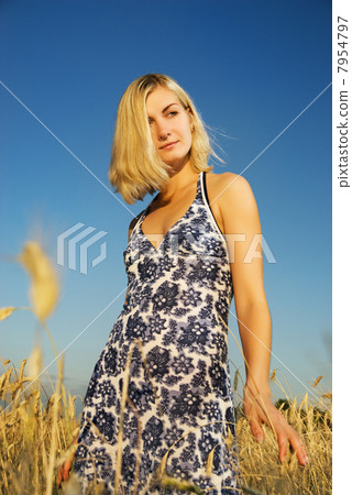 Beautiful woman in the wheat field 7954797
